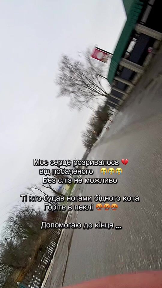TikTok video thumbnail by margo.vet