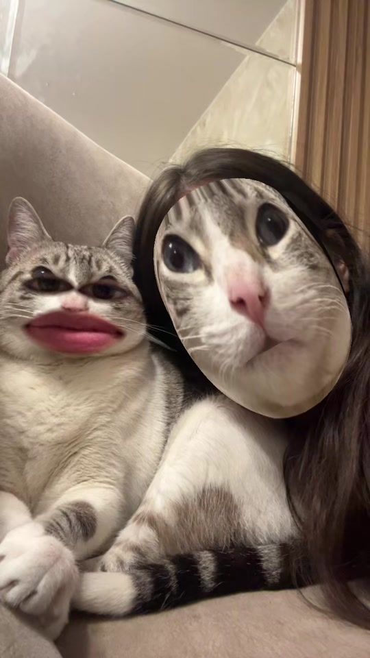 TikTok video thumbnail by babbivill