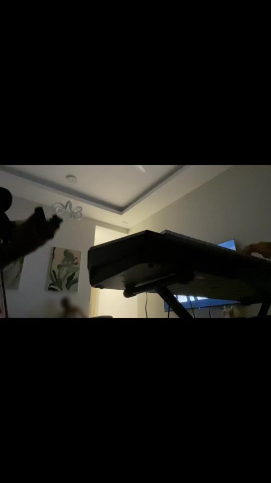 TikTok video thumbnail by mhmodzdjali