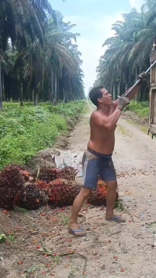 TikTok video thumbnail by cepisaputra663