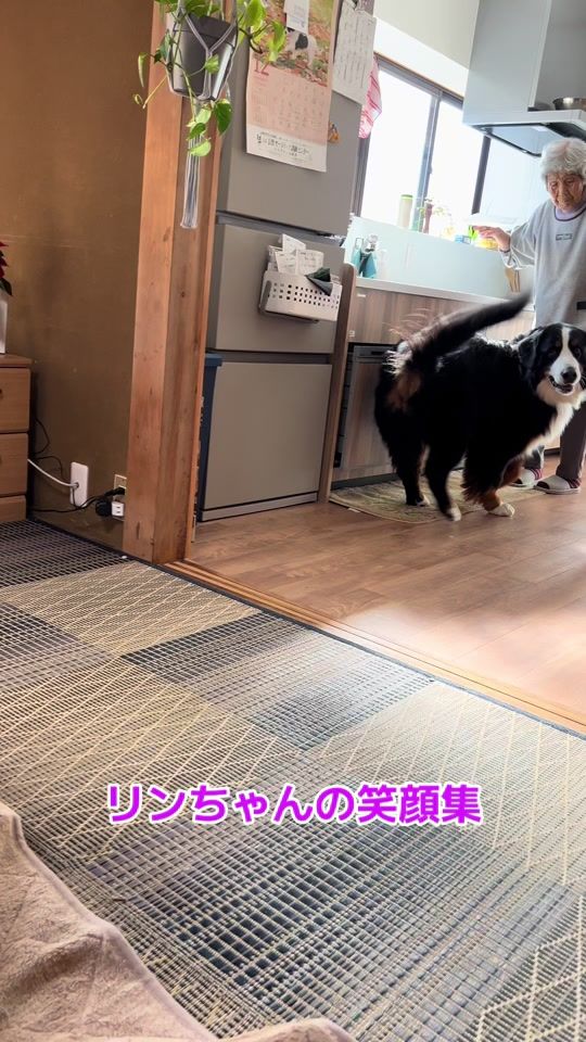 TikTok video thumbnail by lindt2222