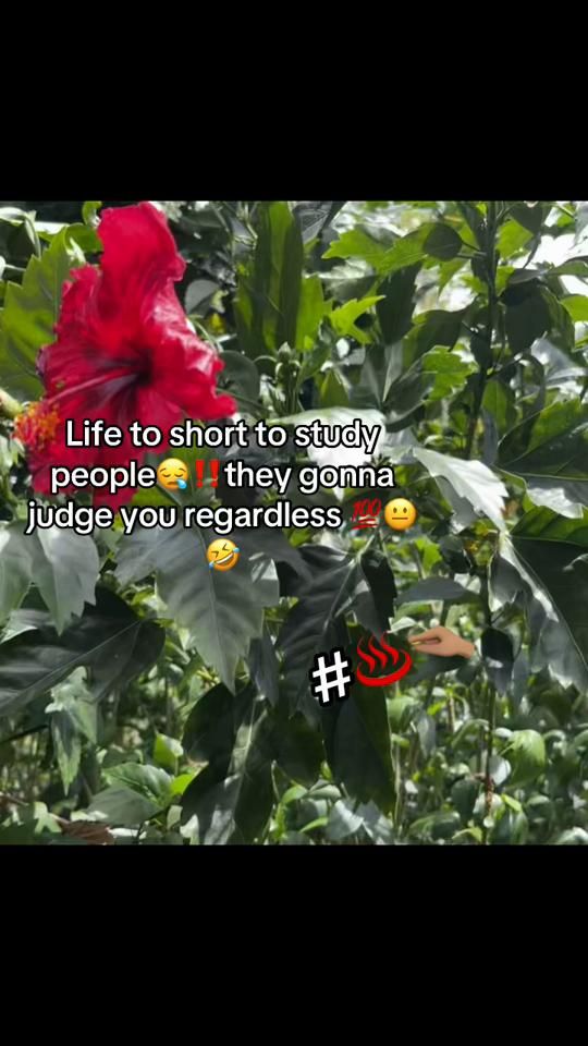 TikTok video thumbnail by bhadd_we_bhadd