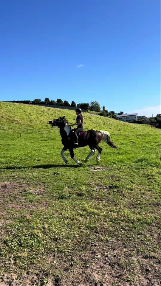 TikTok video thumbnail by gg._.equestrian