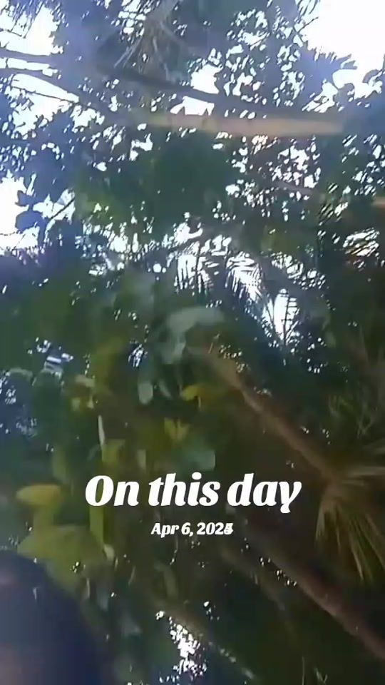 TikTok video thumbnail by user7039108451sagar