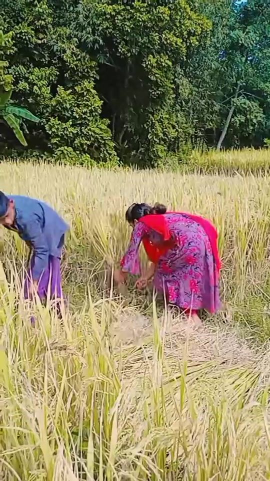 TikTok video thumbnail by ..128765
