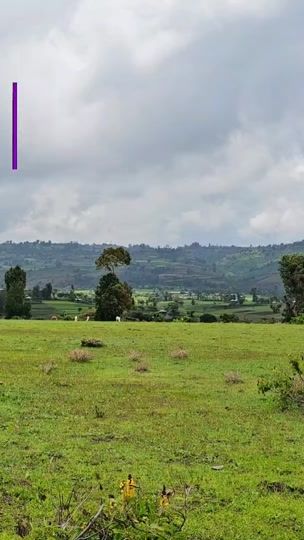 TikTok video thumbnail by faru4398