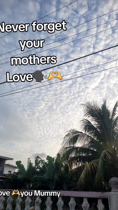 TikTok video thumbnail by keshanmohammed