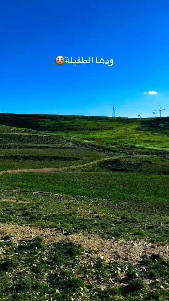 TikTok video thumbnail by _t.hamaideh