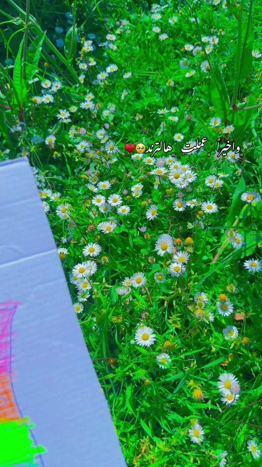 TikTok video thumbnail by marwa_a_li