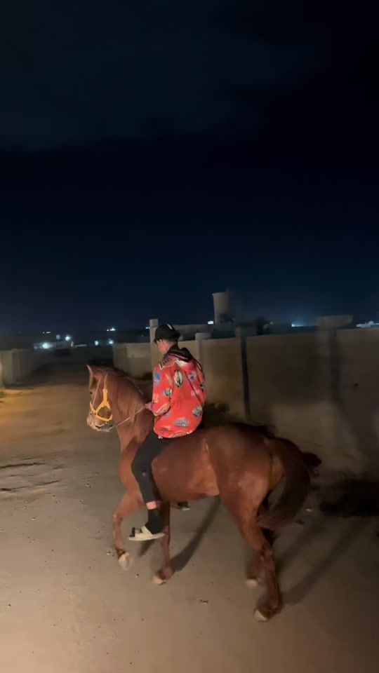 TikTok video thumbnail by a98a38
