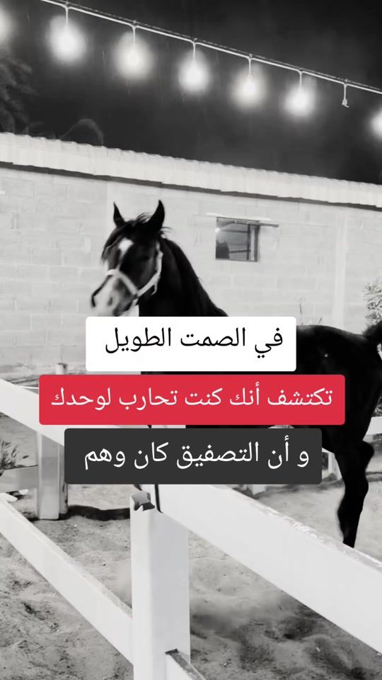 TikTok video thumbnail by mmnor9_6