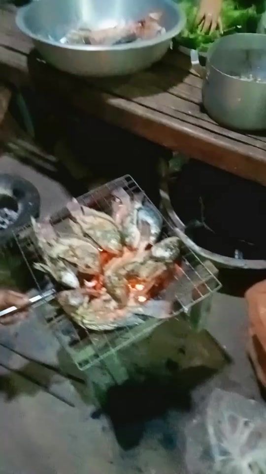 TikTok video thumbnail by user2xzynrfwuq