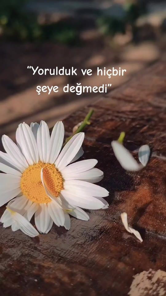TikTok video thumbnail by gonlu_yorgun_hatunn_16