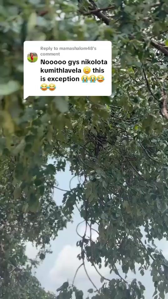 TikTok video thumbnail by jr_zuma