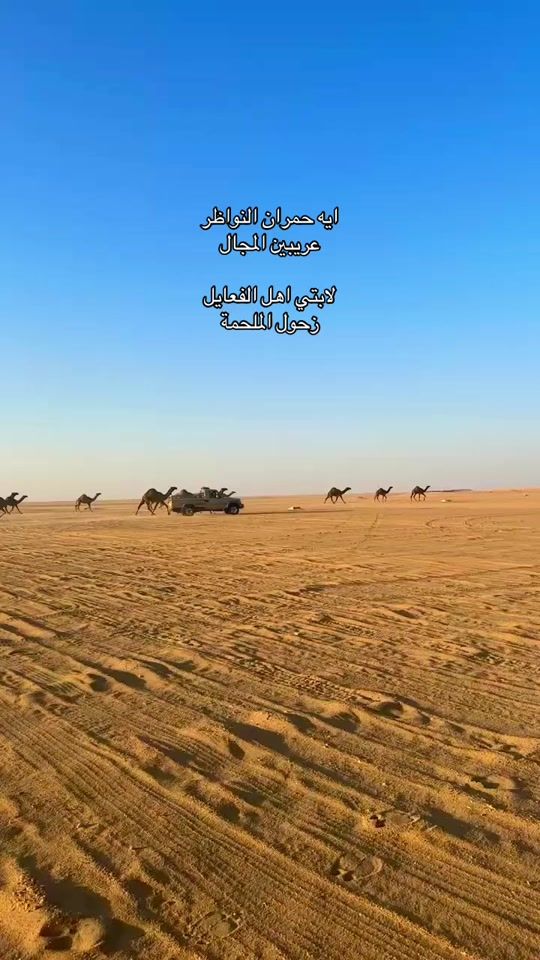TikTok video thumbnail by aaa.23235