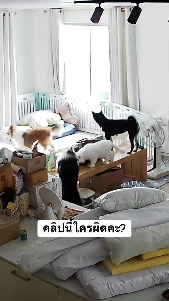 TikTok video thumbnail by khunchom_chavee