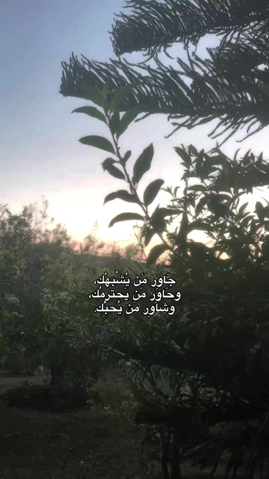 TikTok video thumbnail by khaled_mk_abdallah