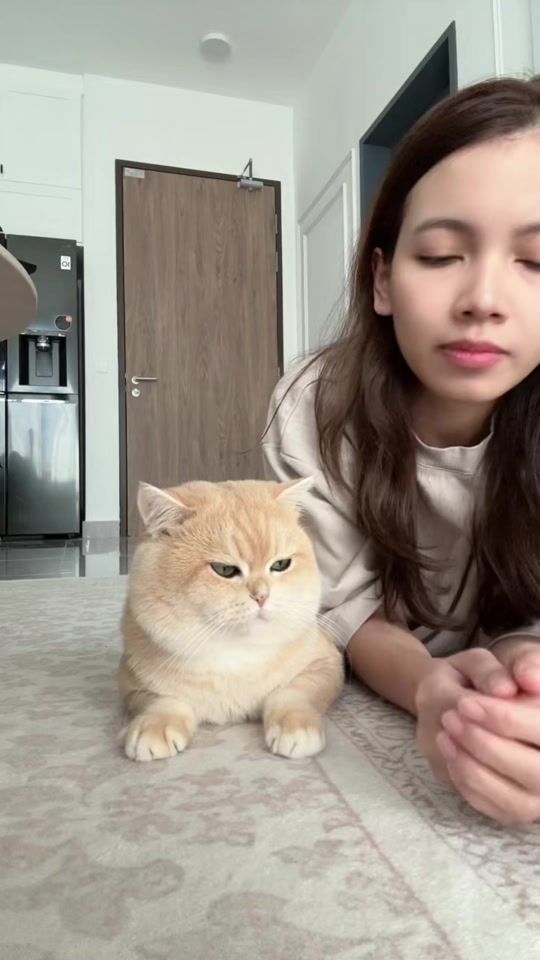 TikTok video thumbnail by two_sided8