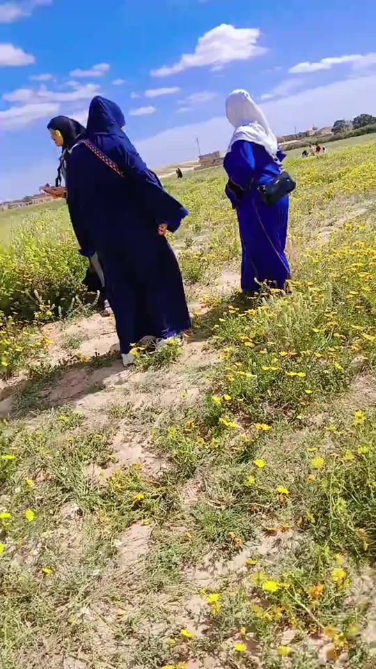 TikTok video thumbnail by sara_hayat03