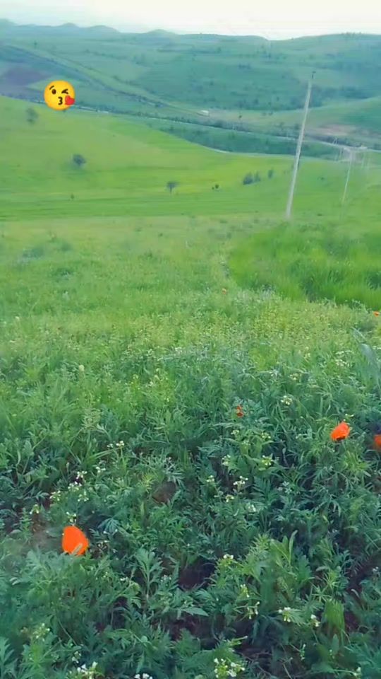 TikTok video thumbnail by alijon1009