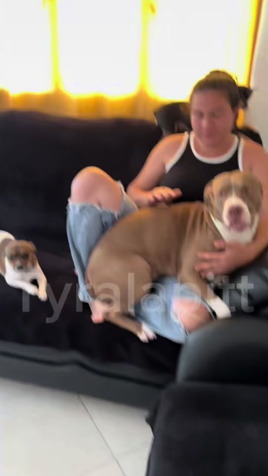 TikTok video thumbnail by tyralapit_