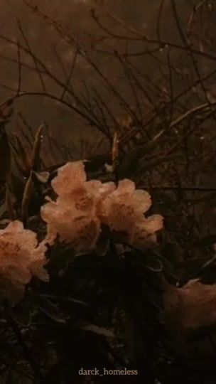 TikTok video thumbnail by hh_ff42