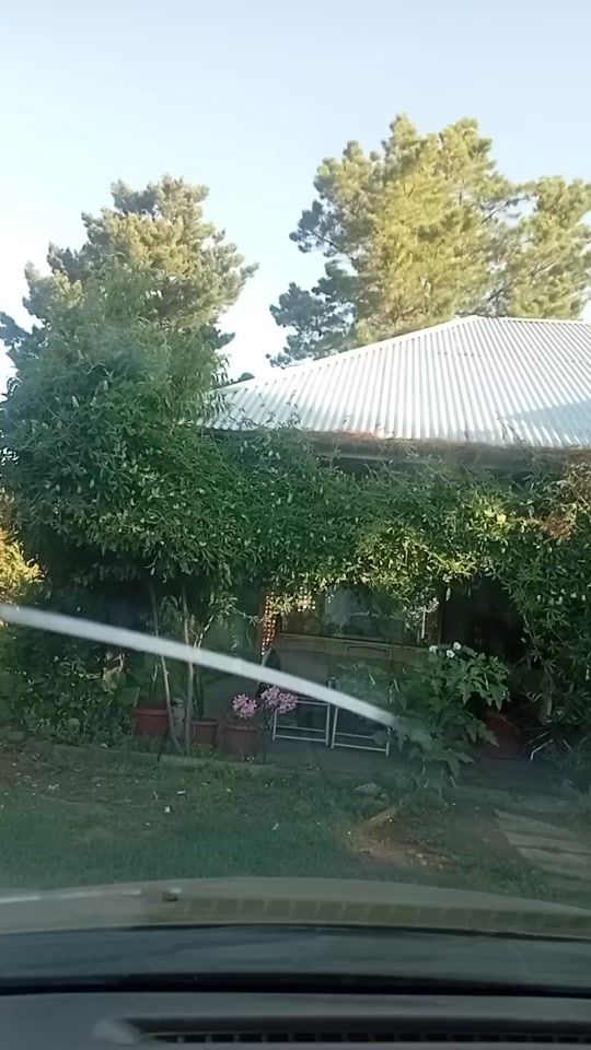 TikTok video thumbnail by robertotoledo8130