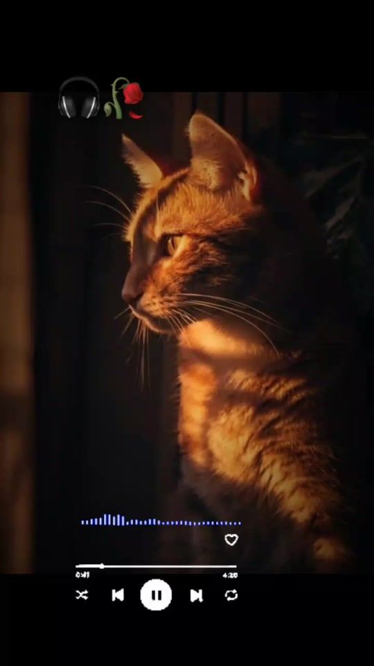 TikTok video thumbnail by nohemi4946