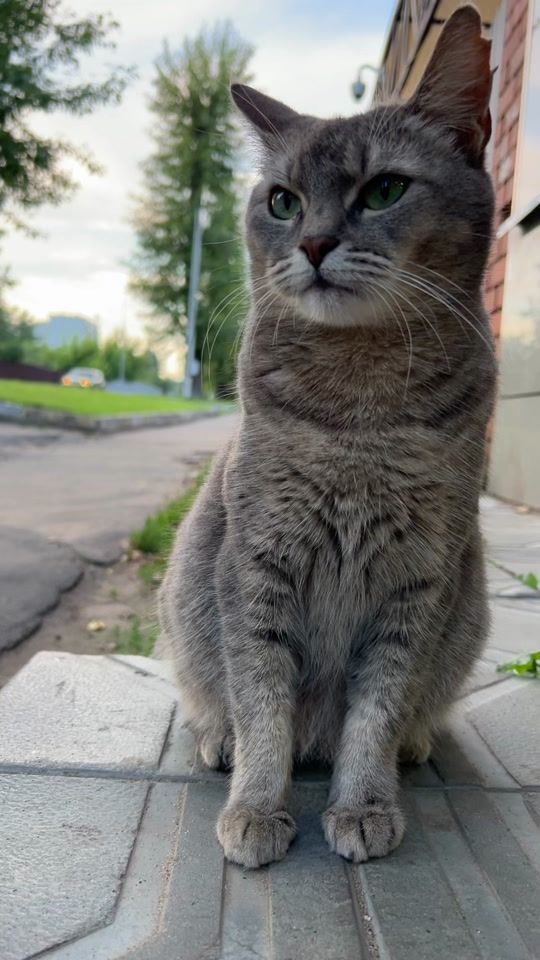 TikTok video thumbnail by nathan.huseyn