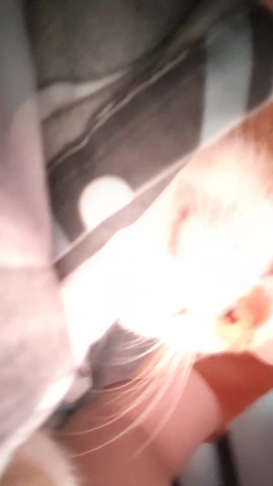 TikTok video thumbnail by delgadopets