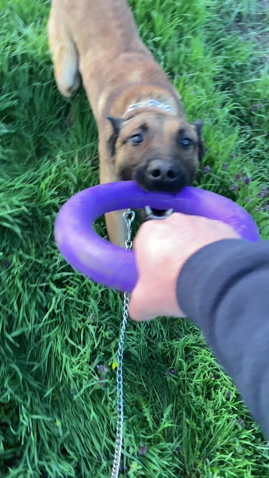 TikTok video thumbnail by uncknow02