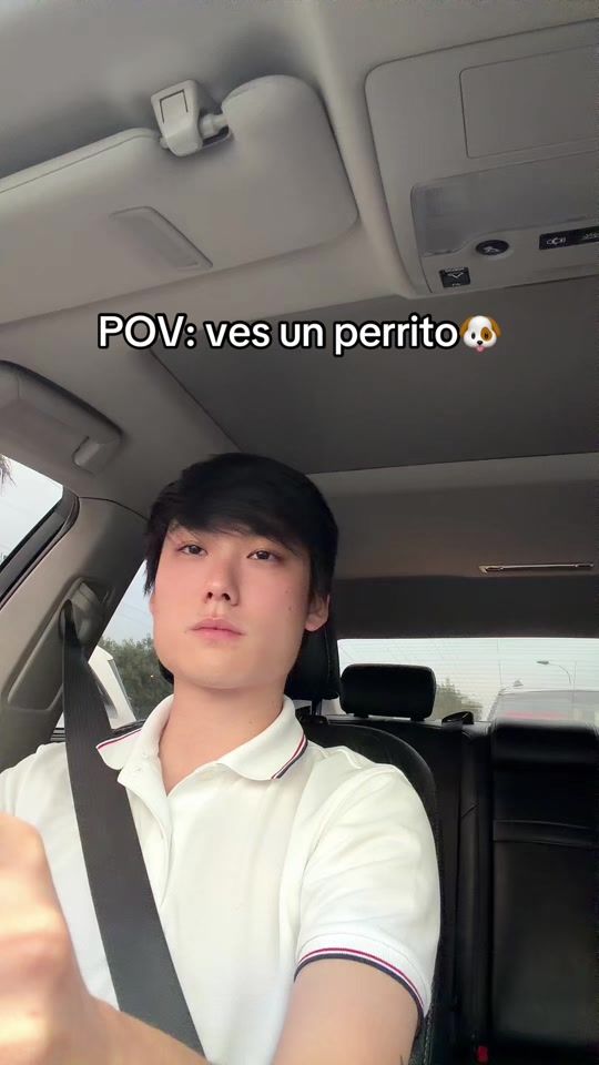 TikTok video thumbnail by ryu_ouchida