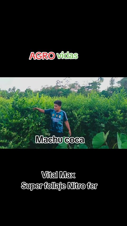 TikTok video thumbnail by liam.ayaviri