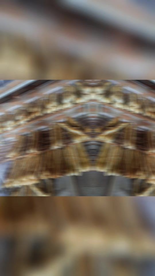 TikTok video thumbnail by mr.rabo11