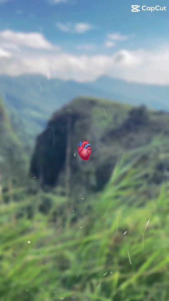 TikTok video thumbnail by shinsunyu2