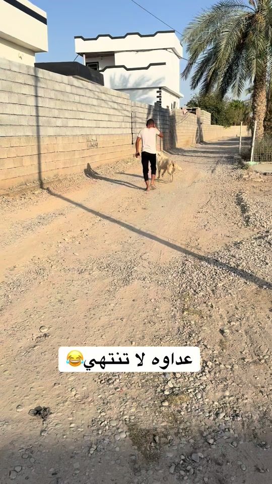 TikTok video thumbnail by user612231406