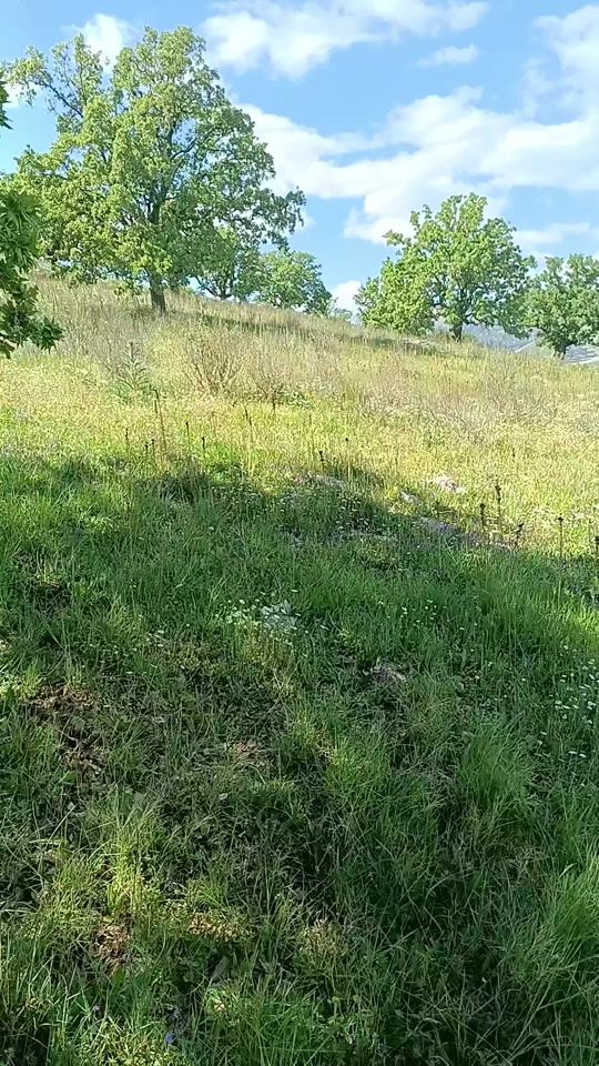 TikTok video thumbnail by kerkues.thesari