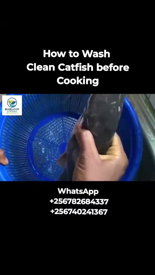 TikTok video thumbnail by blueloopsystems