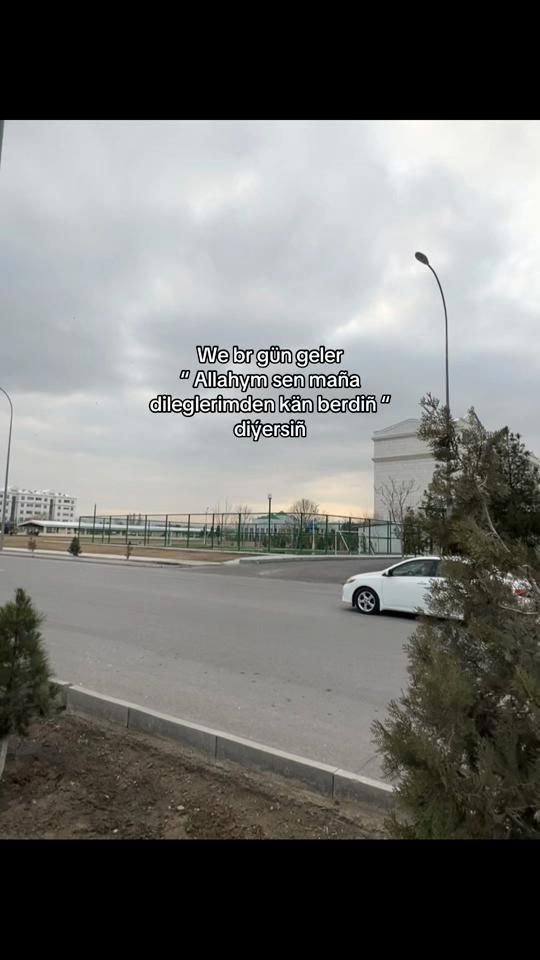 TikTok video thumbnail by sho_sulik