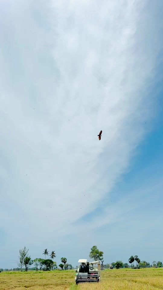 TikTok video thumbnail by shan_shanthosh