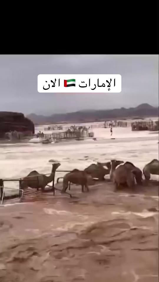 TikTok video thumbnail by said770a7