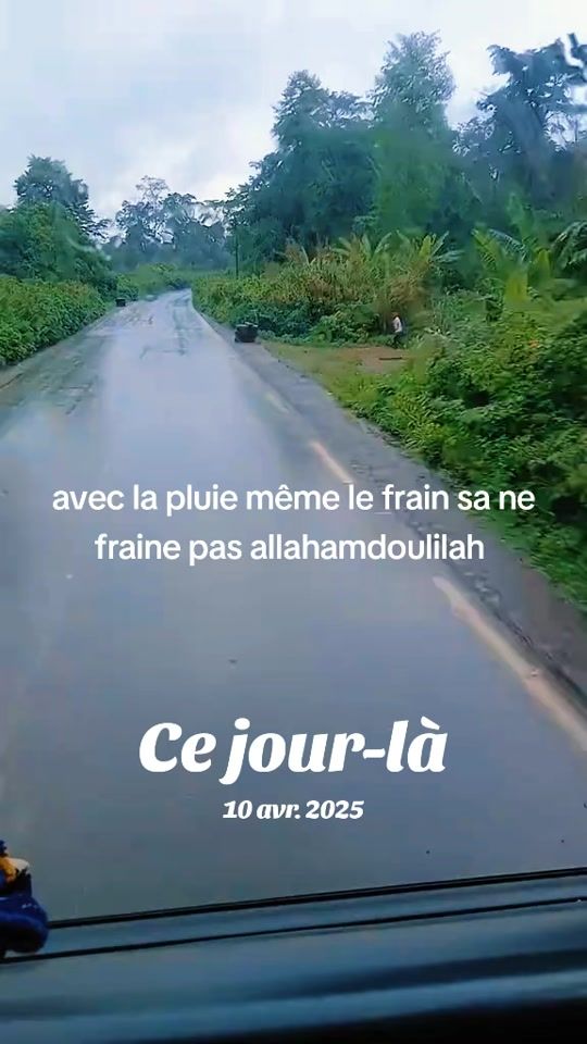 TikTok video thumbnail by future.cur.lion