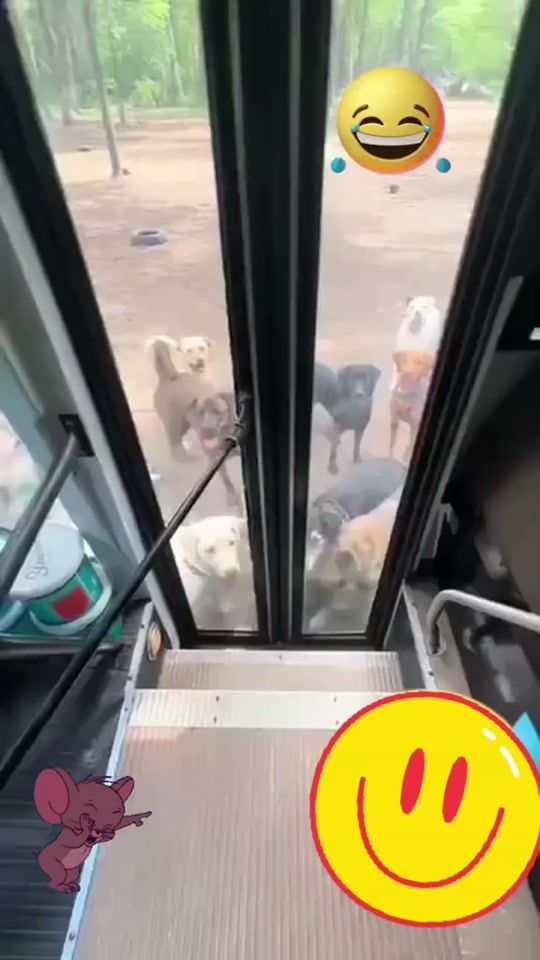 TikTok video thumbnail by maribel.caal780