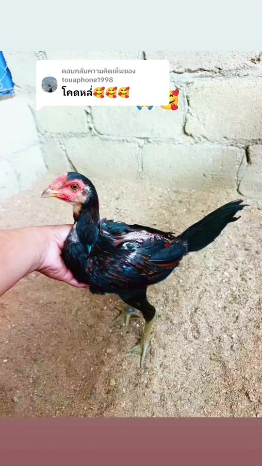 TikTok video thumbnail by ber93159565