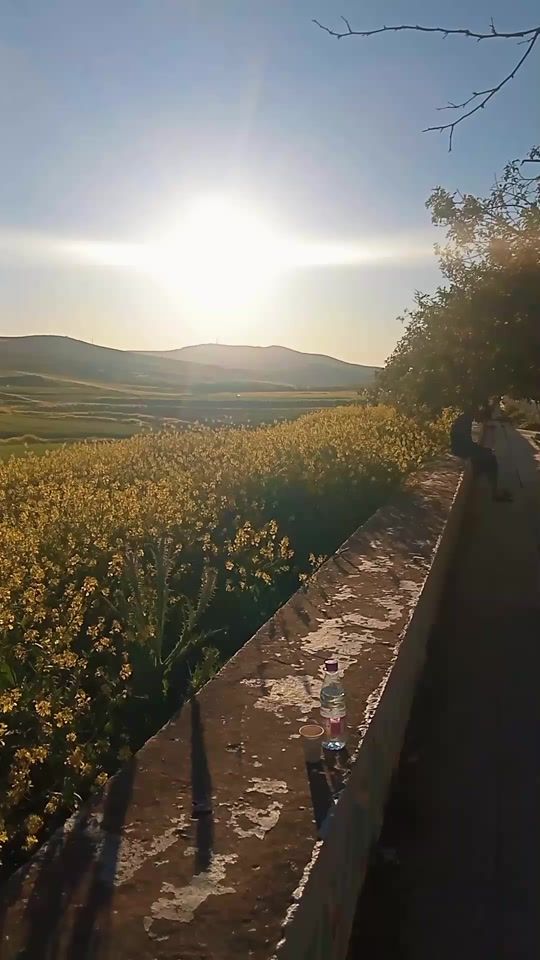TikTok video thumbnail by fonasfonas31