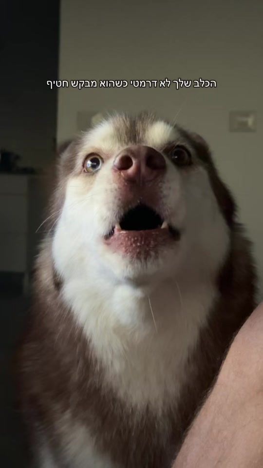 TikTok video thumbnail by _naorarami