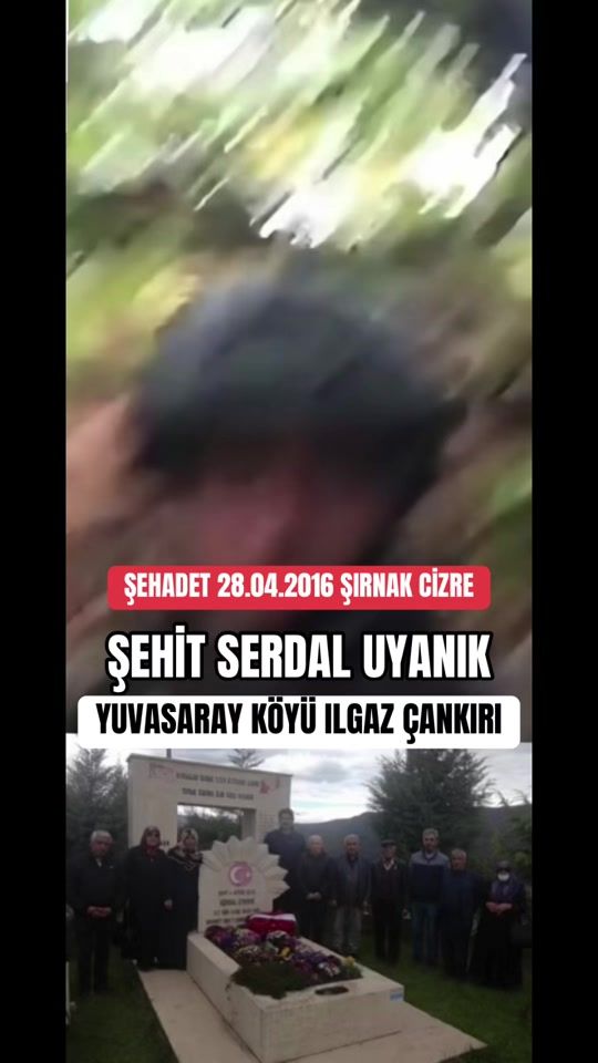 TikTok video thumbnail by okan_sutcuoglu