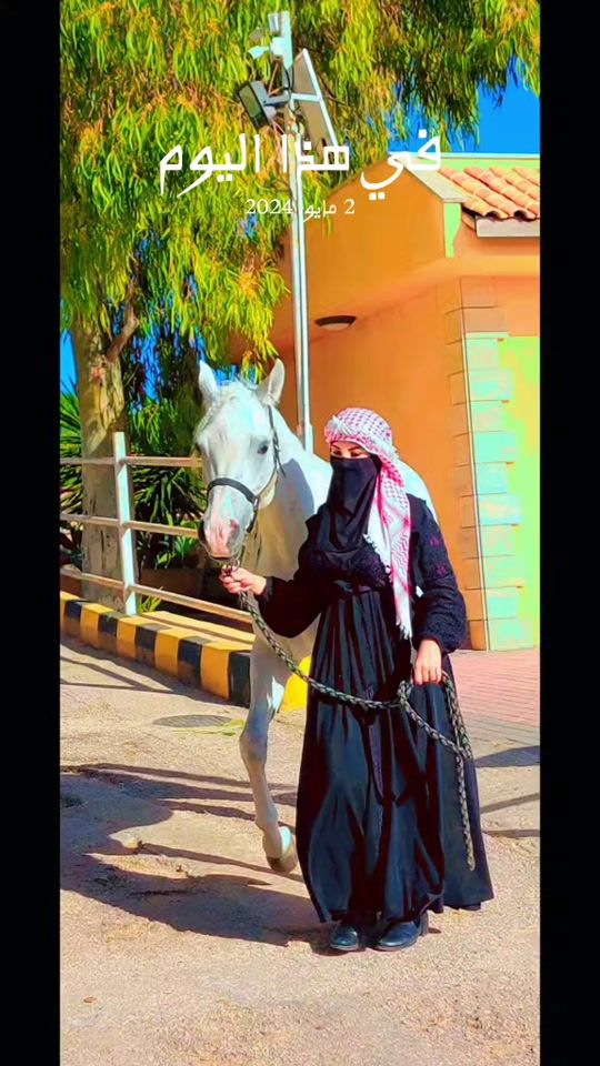TikTok video thumbnail by al_fares25