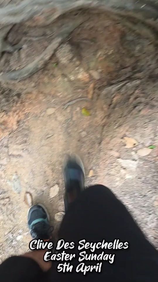 TikTok video thumbnail by clivedesseychelles