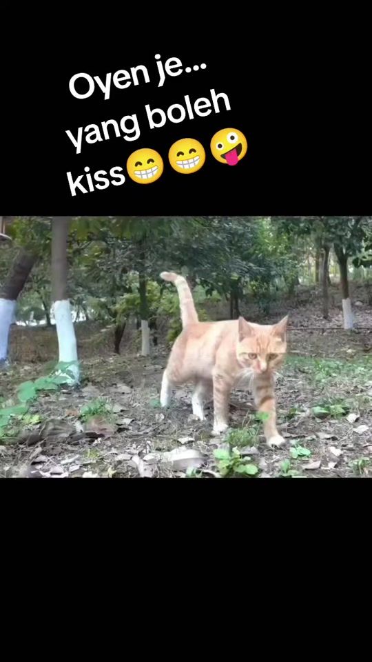 TikTok video thumbnail by fareeda7773